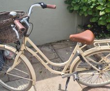 Ladies Bicycle