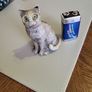 Cat ornament Image 3