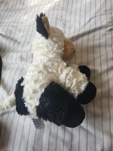 Take Me Home Koetje knuffel