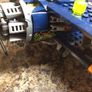 El Diego's stunt plane Lego set no 70429 - full and complete Image 9