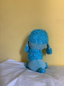 teddy