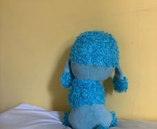 teddy