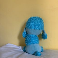 teddy