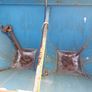 fertiliser spreader Image 4