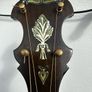 Epiphone Superb Professional Tenor banjo Image 8