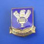 USAAF Technical Training Command (Sustineo Alas) air technician trainer's badge (WW2 period 1940s) Image 2