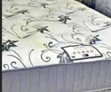 Velvet bed