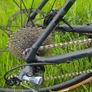 Gravel Bike Cube size L Image 7