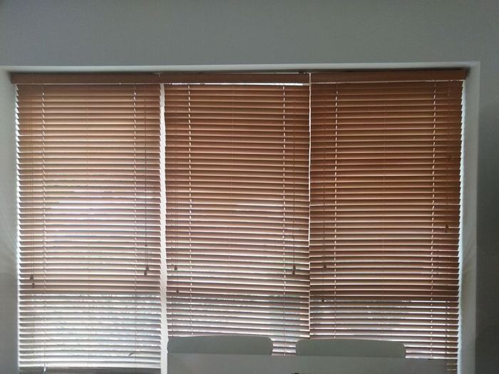 Venetian Blinds