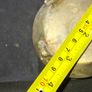 Beautiful Old Brass Bowl, Postage Available, Image 5