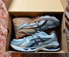Asics Kayano 14