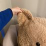 large teddy bear Image 3