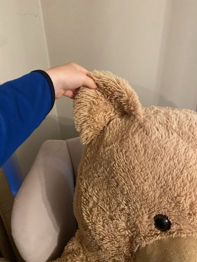 large teddy bear