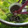 Apollo Twilight Bike - Ladies Image 8