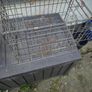 poutry transport cage Image 3