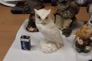 Owl collection