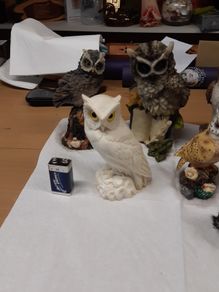 Owl collection