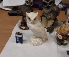 Owl collection