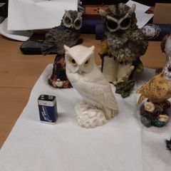 Owl collection