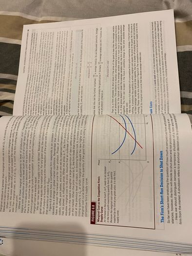 College books for sale business (economics accounting)