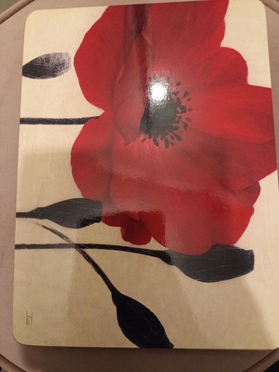 4 x poppy washable placemats