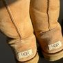 Uggs Image 2