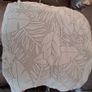 Free 2 & 3 seater sofas (with covers) Image 10