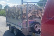 timber for sale