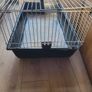 rabbit, cage Image 2