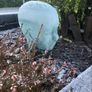 glass head Image 6