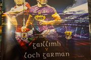 Gaa Programmes Leinster Hurling Final 2017 Wexford V Galway