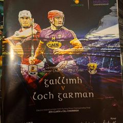 Gaa Programmes Leinster Hurling Final 2017 Wexford V Galway