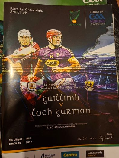 Gaa Programmes Leinster Hurling Final 2017 Wexford V Galway