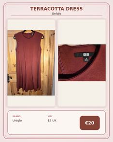 Uniqlo Terracotta Dress