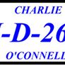 Buggy Plates Image 7