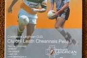 2007 Dublin v Offaly - GAA Leinster Football Semi Final Programme