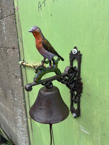 Robin bell