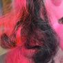 Large Pinkie Pie 5.5inch Boutique Styling with Black in hair MLP G4 My Little Pony 2010 Image 3