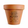 Personalised Worlds Best Terracotta Plant Pot Image 5