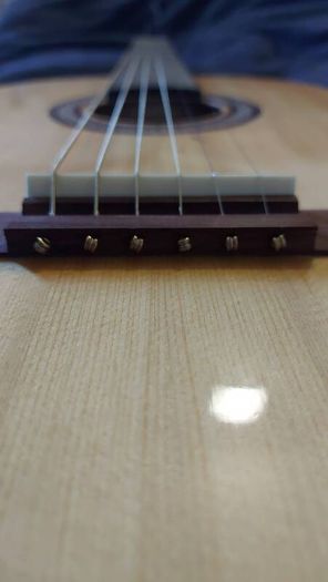 Acoustic Guitar