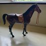 Sindy Horse Image 3
