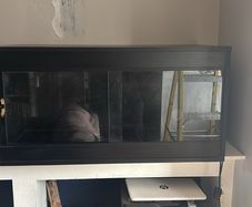 3ft Reptile Tank