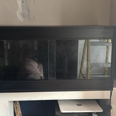 3ft Reptile Tank