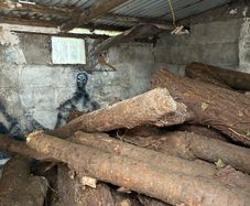 Firewood/wood