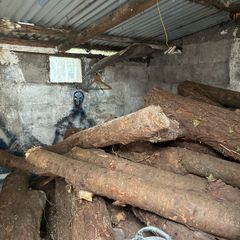 Firewood/wood