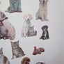 Wall decal Image 4