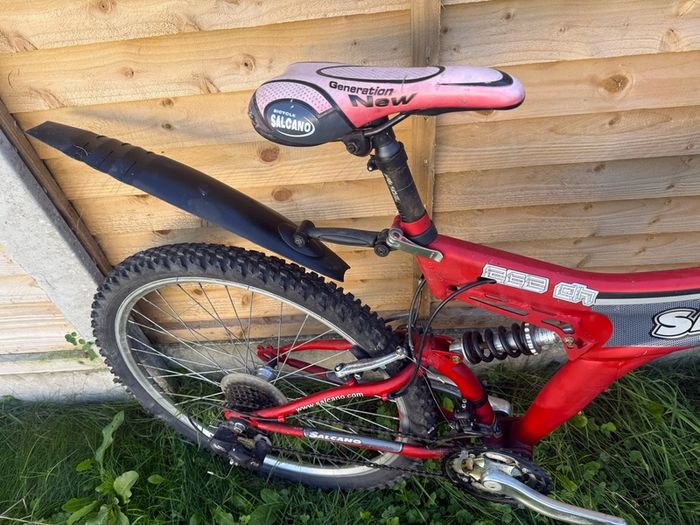 10 bikes adults  8 bikes serviced 2 need service clean bikes