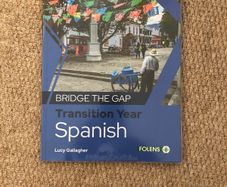 Bridge the gap. Transition year Spanish.