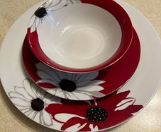 dining set for 12 people with matching 8 mugs (40 pieces total)
