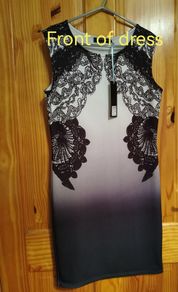 Dorothy Perkins Dress Brand New